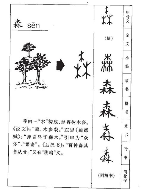 森 五行|森字的含义和寓意